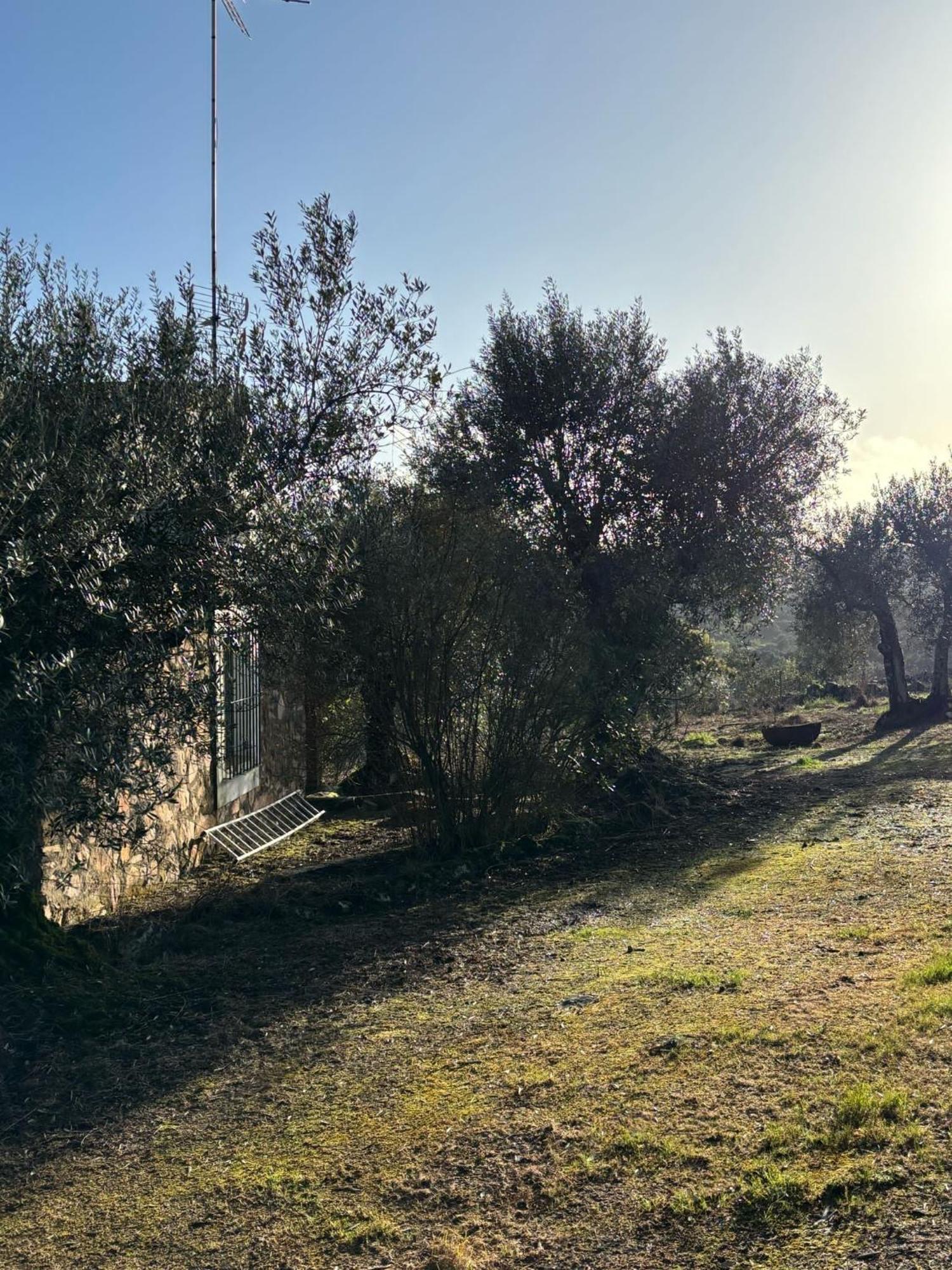 Casas Rurales Los Llanos 丰特斯-德莱昂 外观 照片